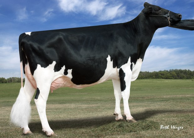 HFB3655_Johnan_Toystory_Glitter-ET