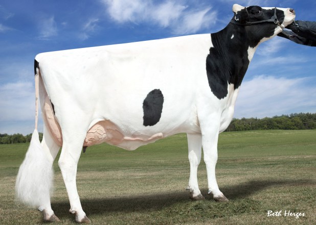 HFB3656 Sapa-Ska Toystory Courtney