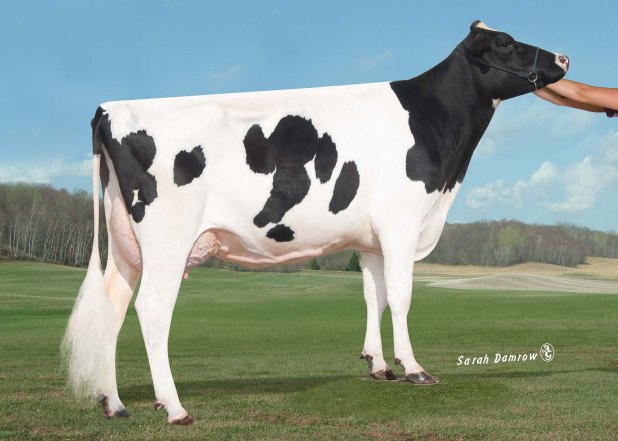 HFS12616 Sully Hart 140