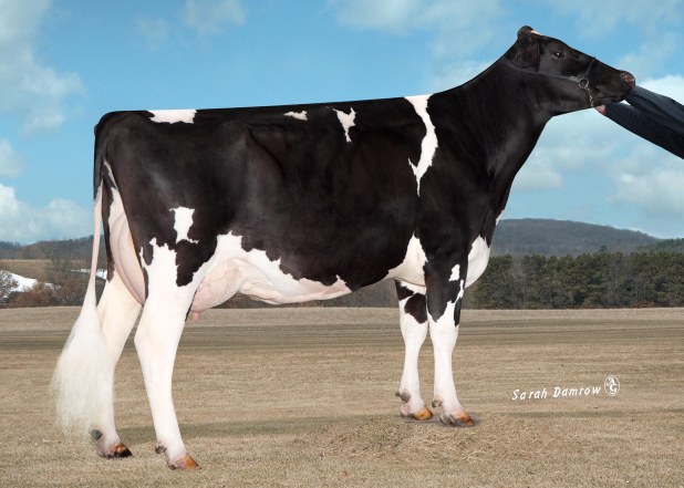 HFS13697 Larcrest Chariot